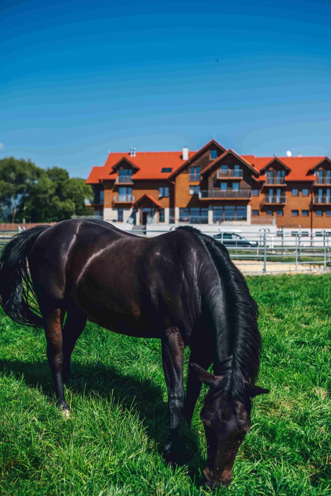 Penzion Kamence Liptovský Mikuláš Exterior foto